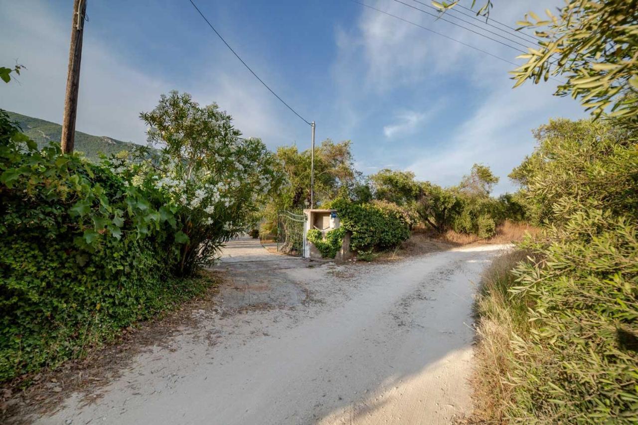 Villa Adonis Halikounas المظهر الخارجي الصورة